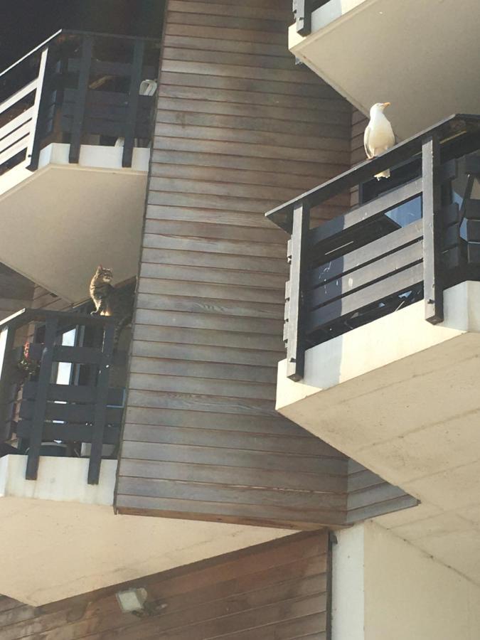 Mon Balcon Face A La Mer - Les Marinas دوفييل المظهر الخارجي الصورة